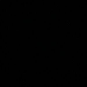 Meet your Posher, Jolie